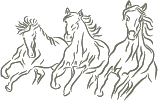 HORSES 2